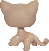 #0318 Shorthair Cat (Deflocked)